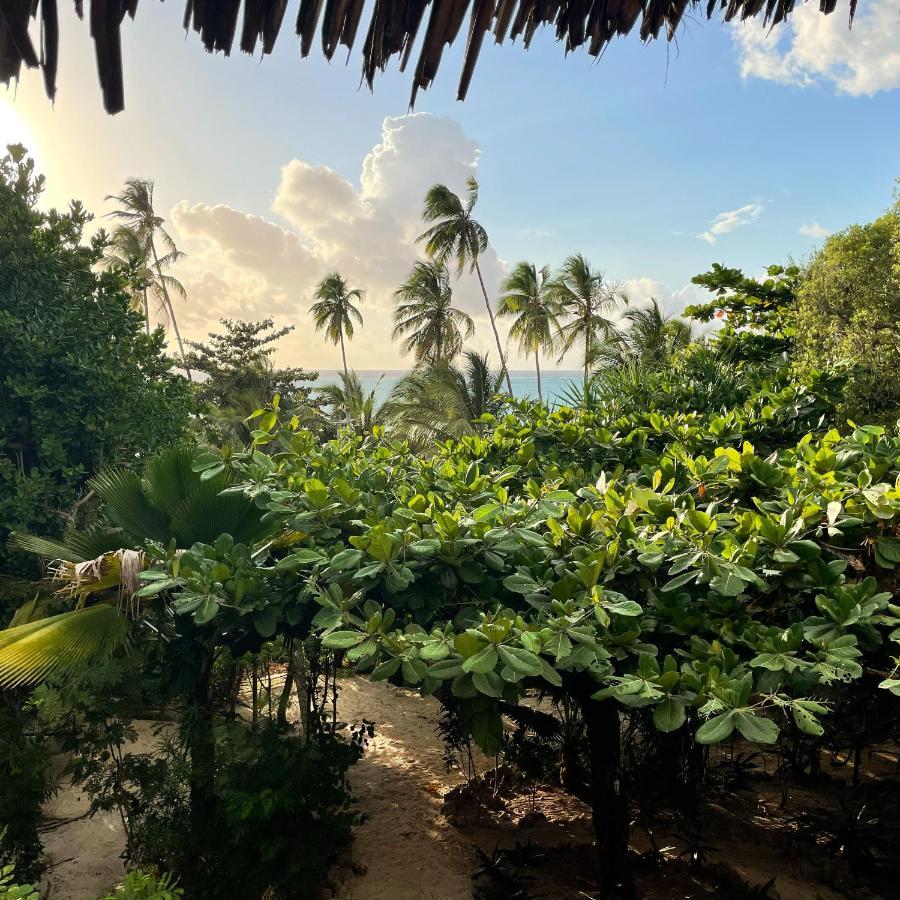 Bed and Breakfast Bellevue Zanzibar Буэхуу Экстерьер фото