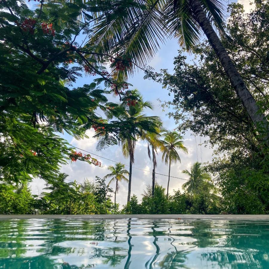 Bed and Breakfast Bellevue Zanzibar Буэхуу Экстерьер фото