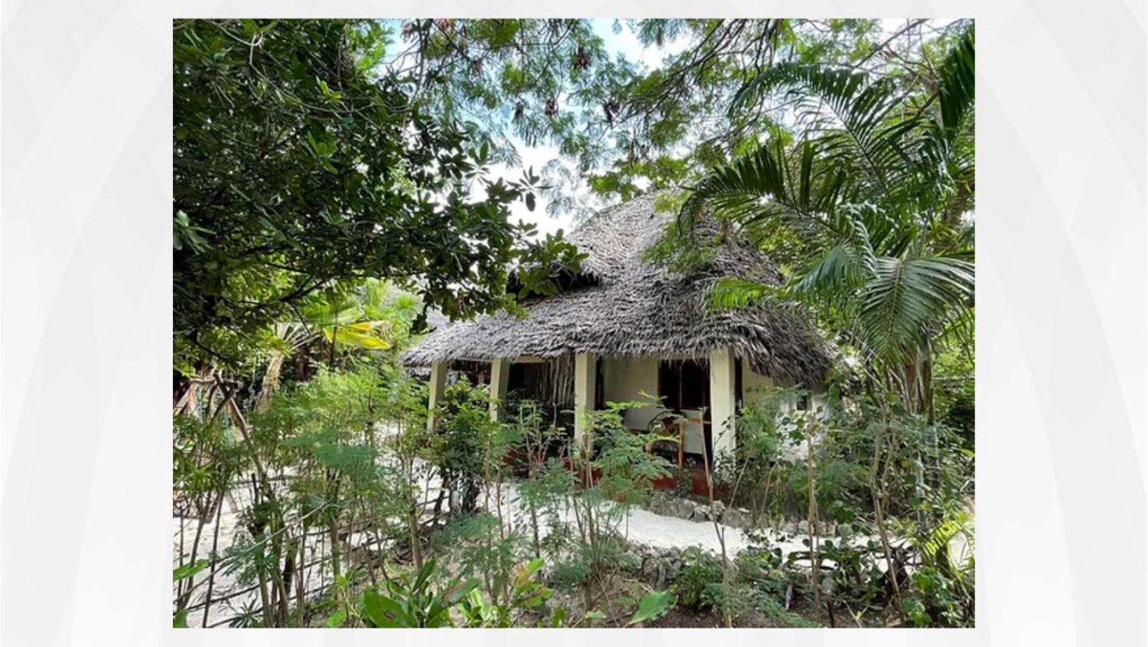 Bed and Breakfast Bellevue Zanzibar Буэхуу Экстерьер фото