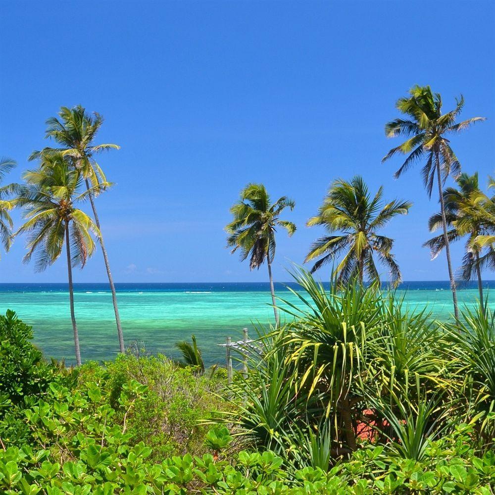 Bed and Breakfast Bellevue Zanzibar Буэхуу Экстерьер фото