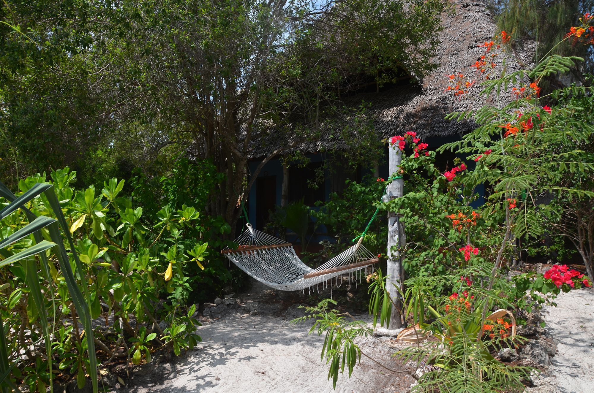 Bed and Breakfast Bellevue Zanzibar Буэхуу Экстерьер фото